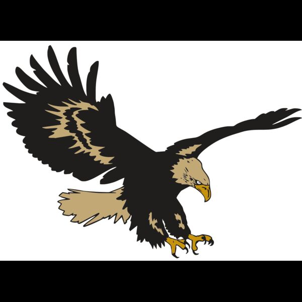 AR EAGLE 47 RC Thumbnail