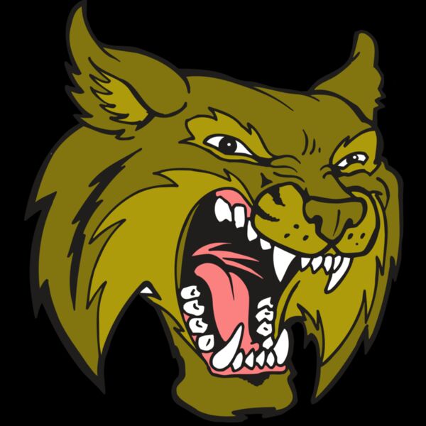 AR5 BOBCAT 20 RQC Thumbnail