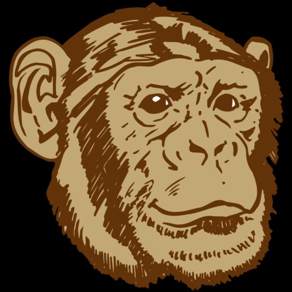 AR OTHER 47 RC Thumbnail