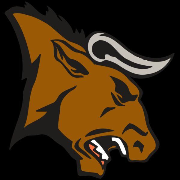 AR BULL 38 RC Thumbnail