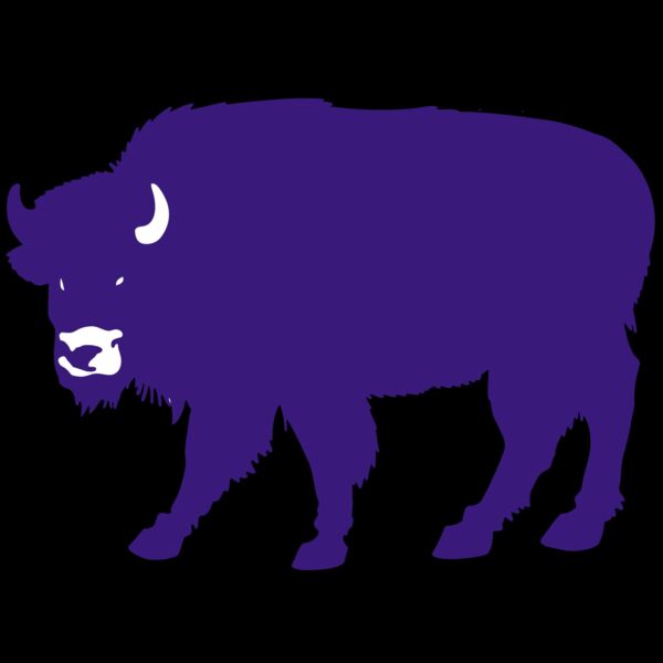 AR BUFF 23 RC Thumbnail