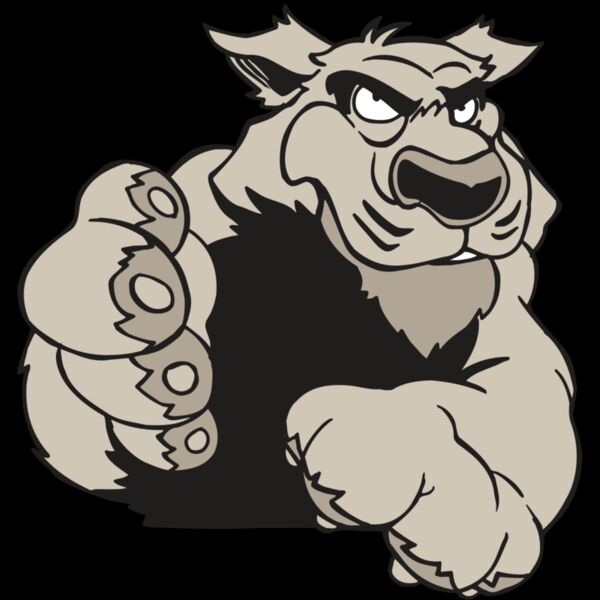 AR5 COUGAR 21 RQC Thumbnail