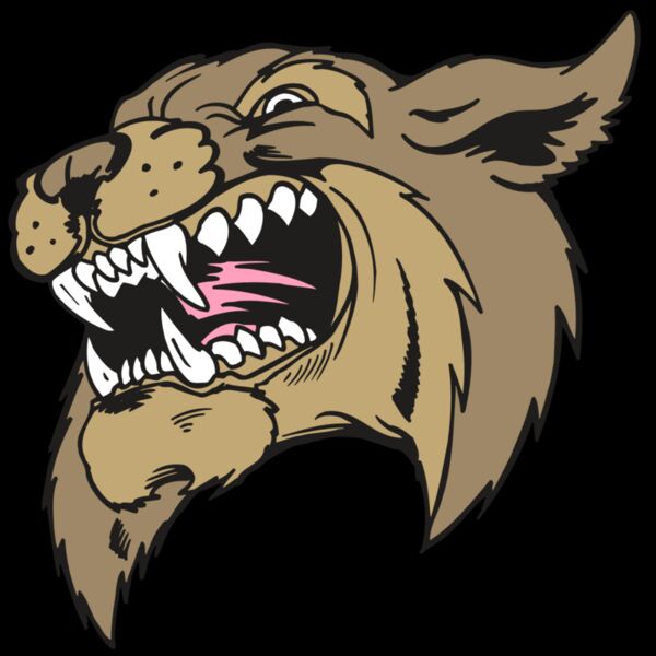 AR5 BOBCAT 09 RQC Thumbnail