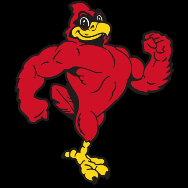 AR CARDINAL 41 RC Thumbnail