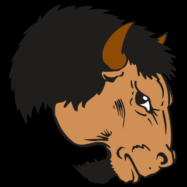 AR BUFFALO 16 RC Thumbnail