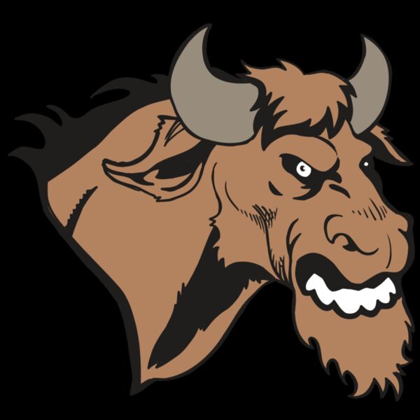 AR5 BULL 09 RQC Thumbnail