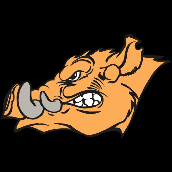 AR RAZORBACK 27 RC Thumbnail