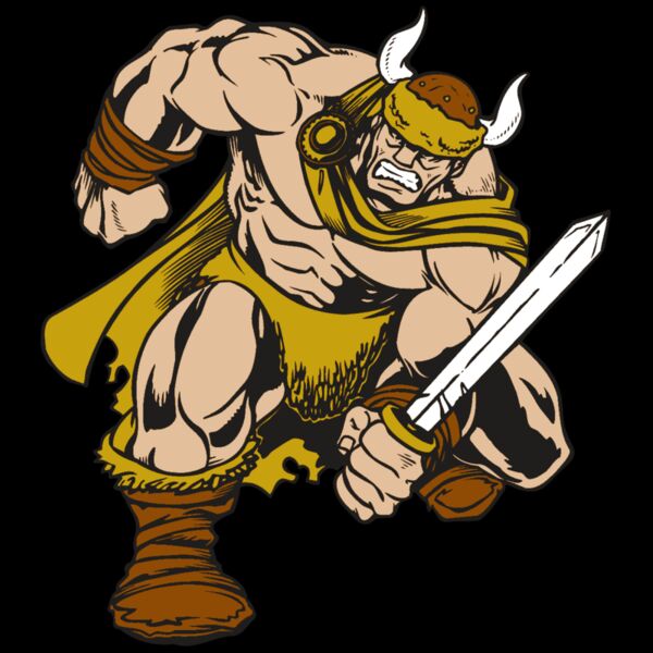 AR VIKING 35 RC Thumbnail