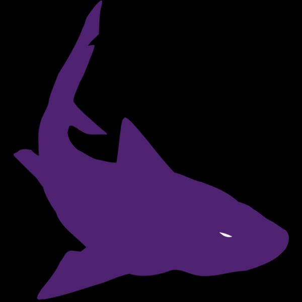 AR5 Shark 05 RQC Thumbnail