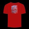 Adult Stars & Stripes T-Shirt Thumbnail