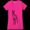 Ladies' Jersey Short-Sleeve Deep V-Neck T-Shirt Thumbnail